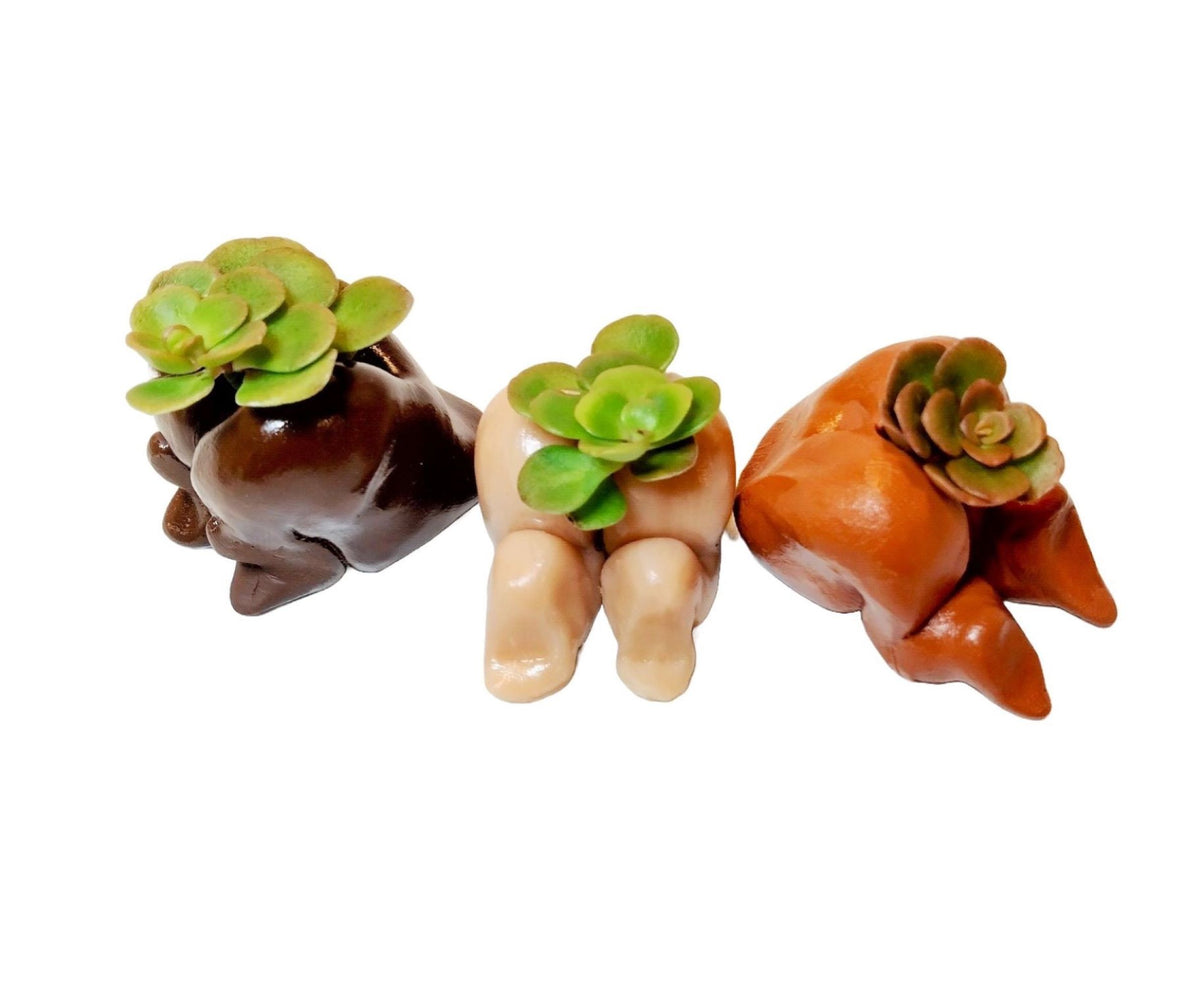 Happy Butt Mini Flowerpots with Live Sedum Plants, Set of 3