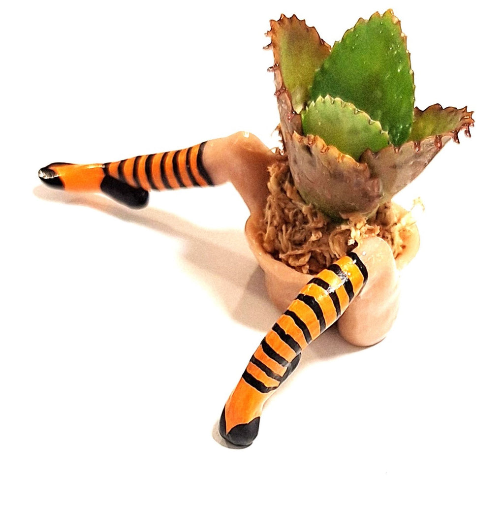 Whimsical Witch Legs Planter • Enchanted Halloween Table Décor • Magical Fall Home Accent