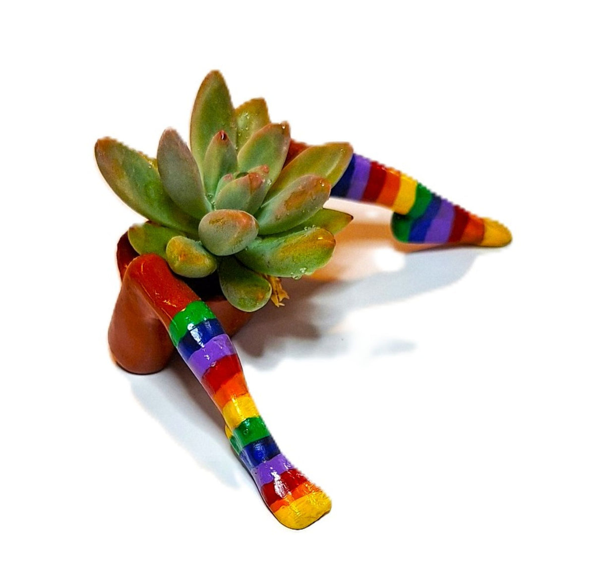 Rainbow Flowerpot with Legs Includes Plant Made in USA