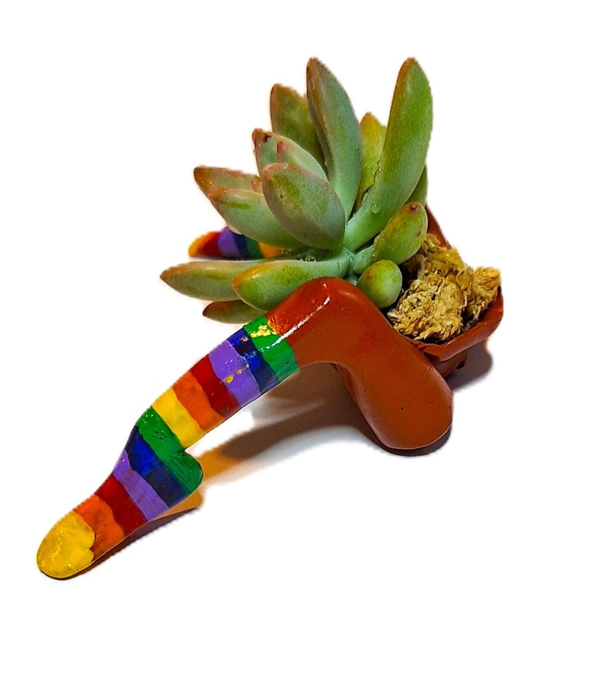 Rainbow Flowerpot with Legs Includes Plant Made in USA