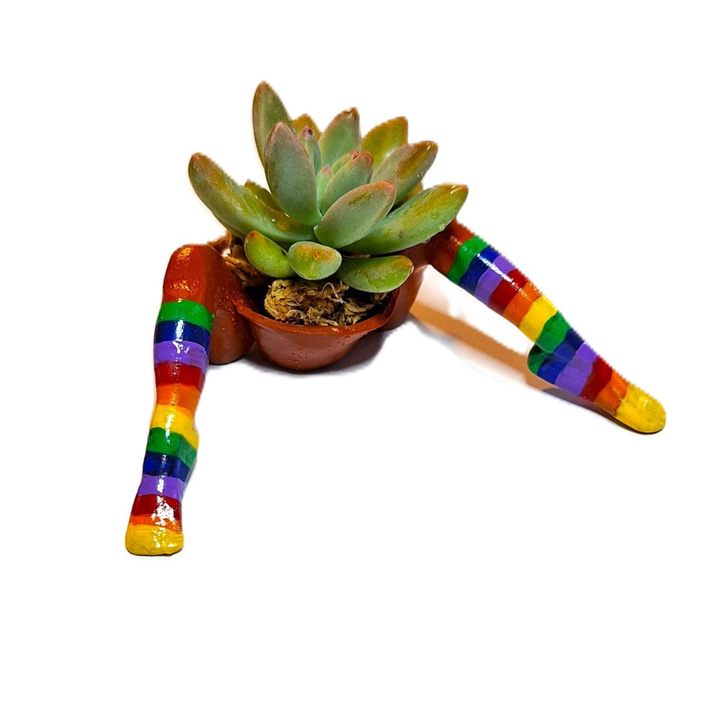 Rainbow Flowerpot with Legs Includes Plant Made in USA