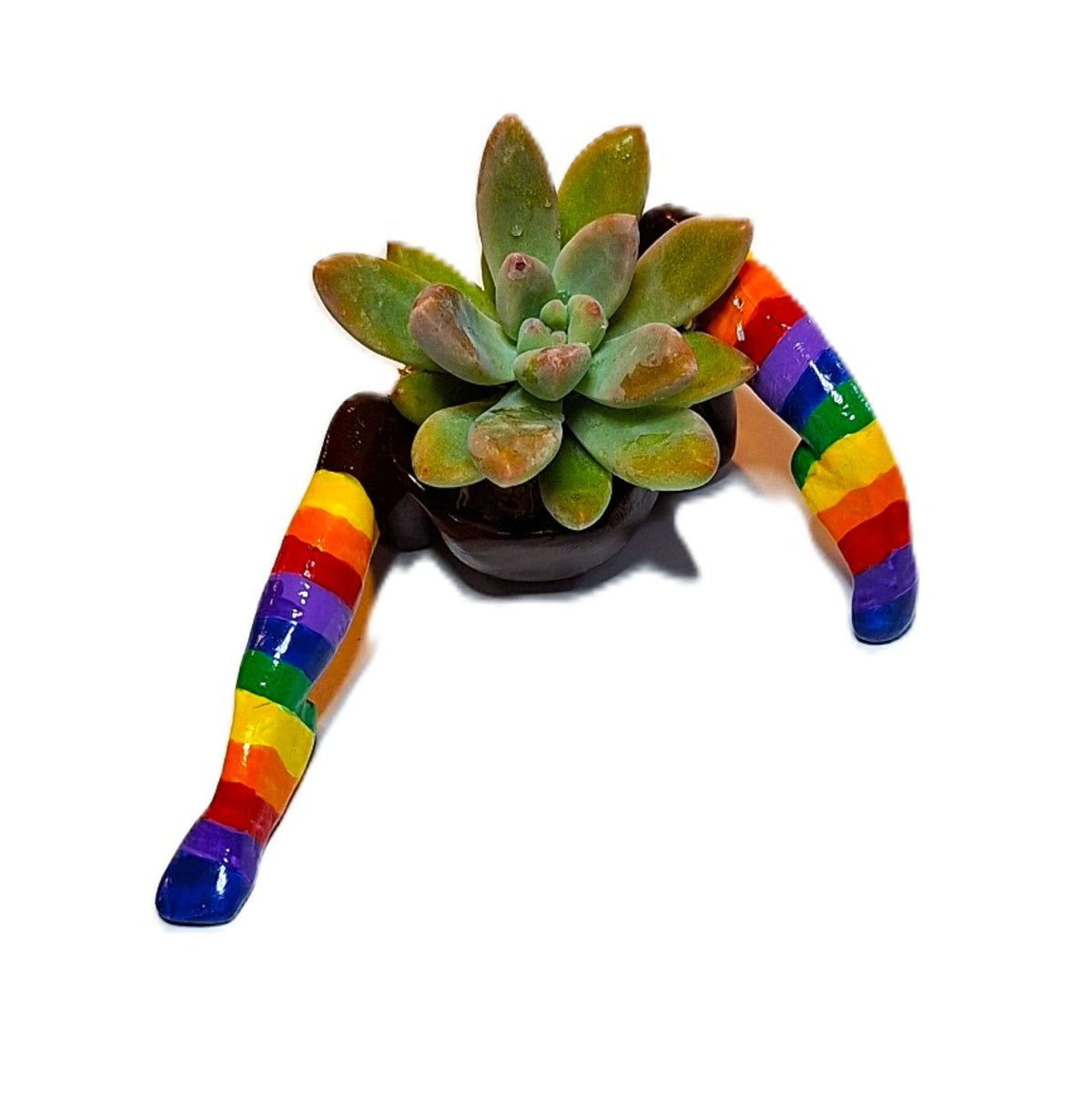 Rainbow Flowerpot with Legs Includes Plant Made in USA
