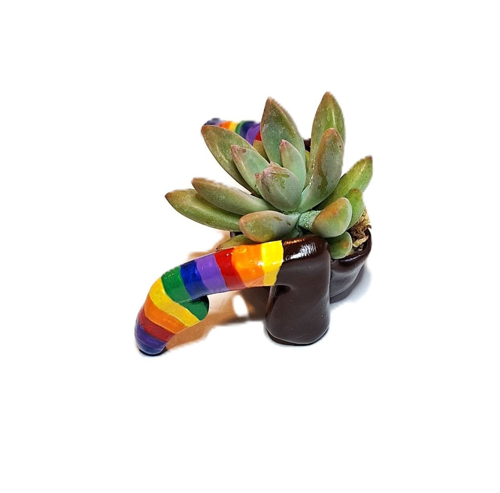 Rainbow Flowerpot with Legs Includes Plant Made in USA
