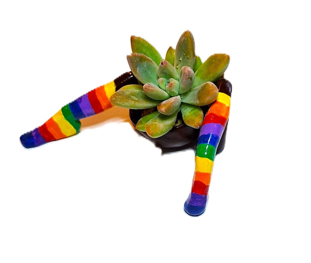 Rainbow Flowerpot with Legs Includes Plant Made in USA