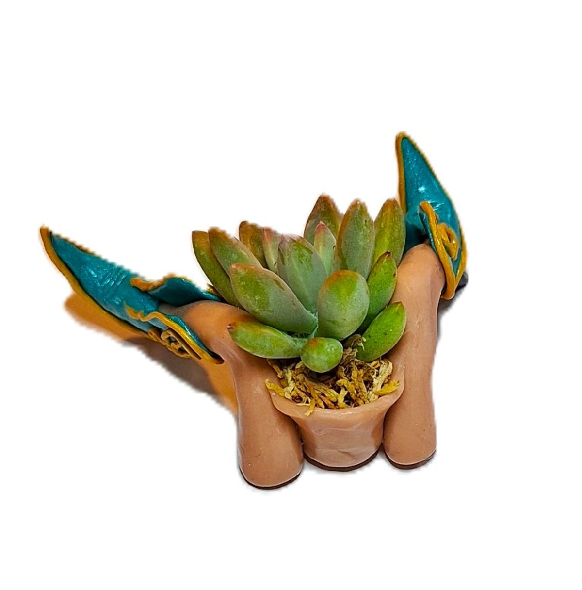Southwestern Cowboy Boot Succulent Planter Rodeo Decor Desk Planter with plant included.