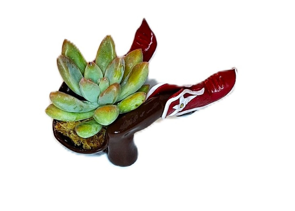 Southwestern Boot Desk Planter Cute Western Handmade Pot with Plant Included