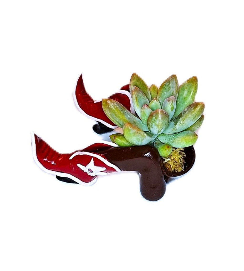 Southwestern Boot Desk Planter Cute Western Handmade Pot with Plant Included