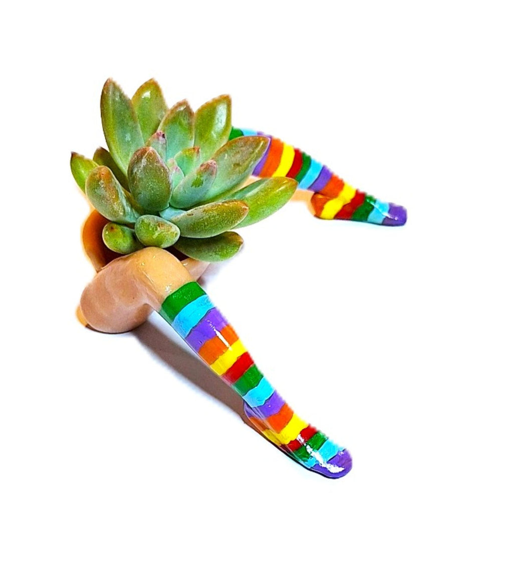Rainbow Flowerpot with Legs Includes Plant Made in USA
