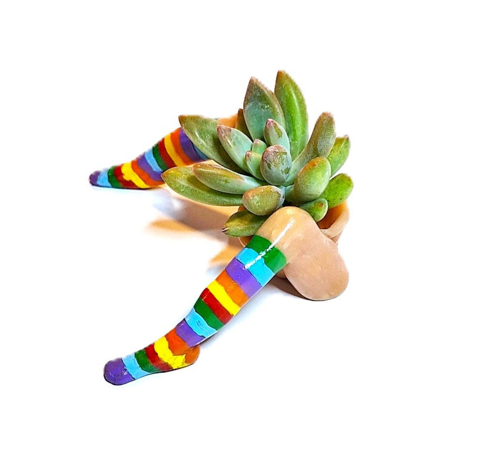 Rainbow Flowerpot with Legs Includes Plant Made in USA