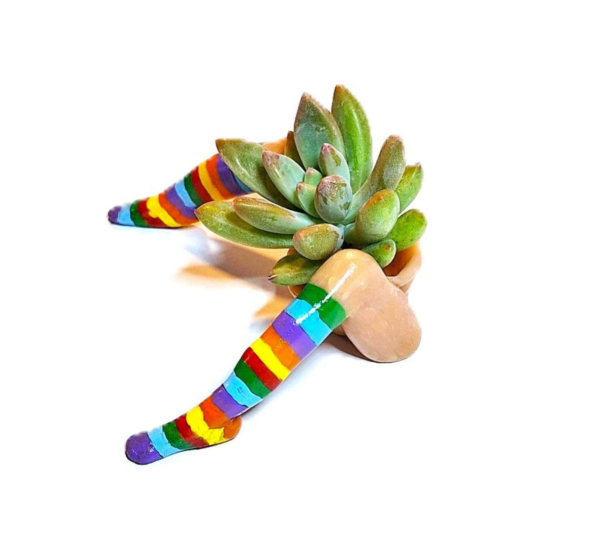 Rainbow Flowerpot with Legs Includes Plant Made in USA