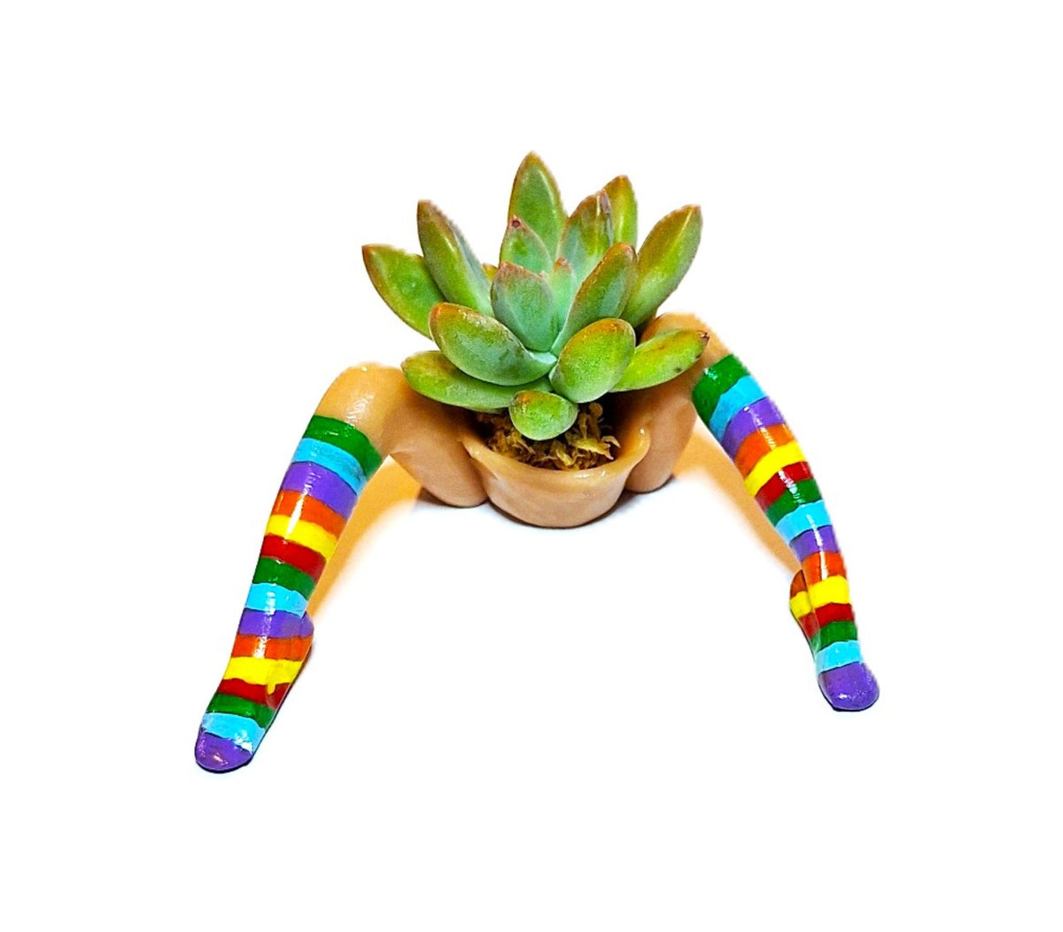 Rainbow Flowerpot with Legs Includes Plant Made in USA
