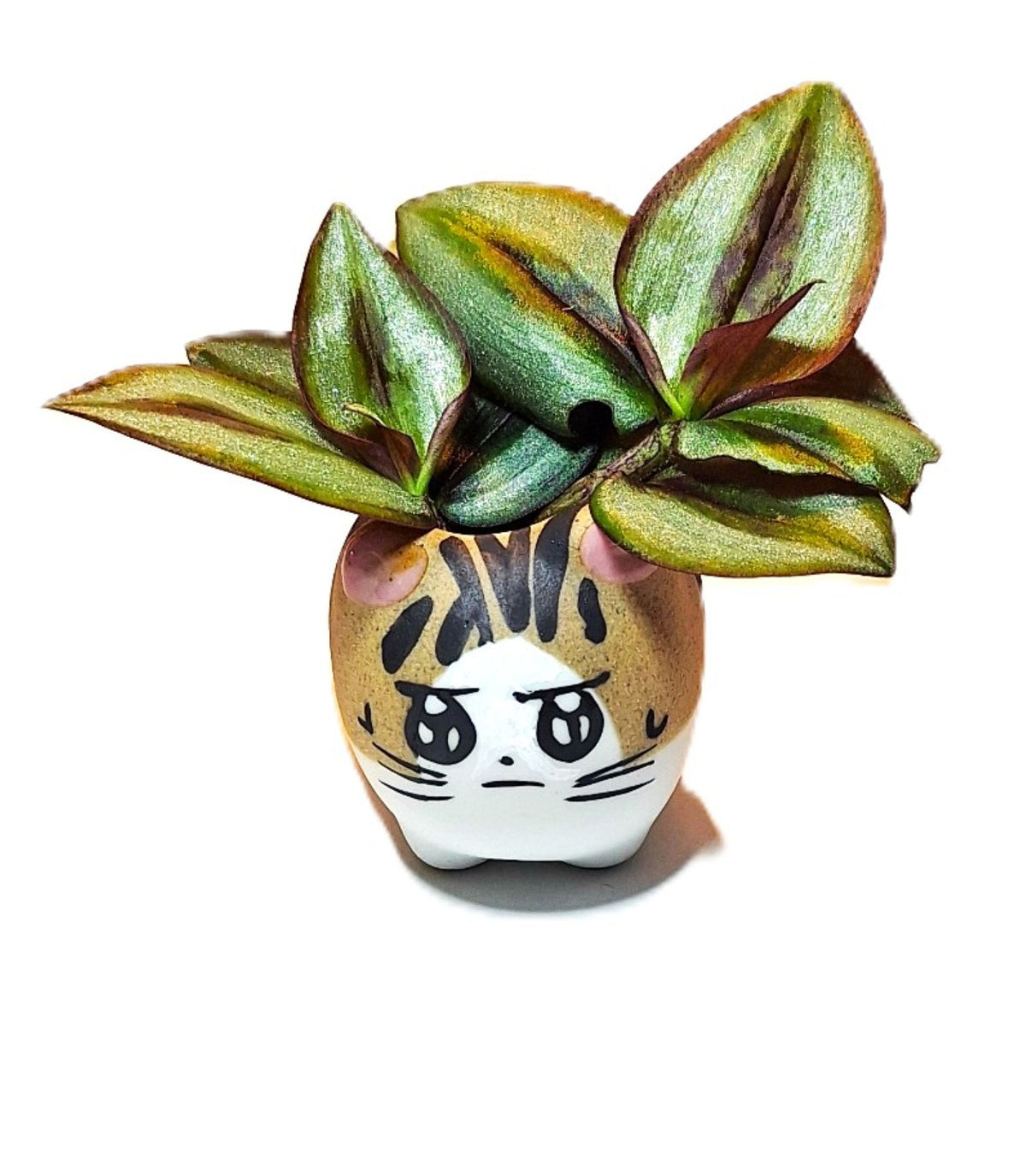 Tiger Kitty Mini Ceramic Cat Pot – Choose Your Kitty Character