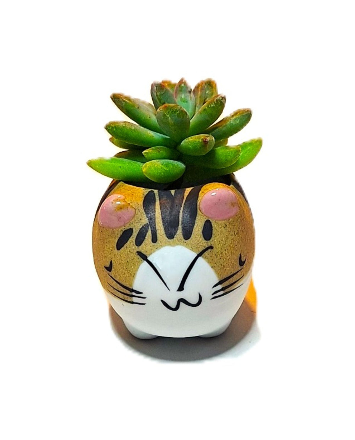 Tiger Kitty Mini Ceramic Cat Pot – Choose Your Kitty Character