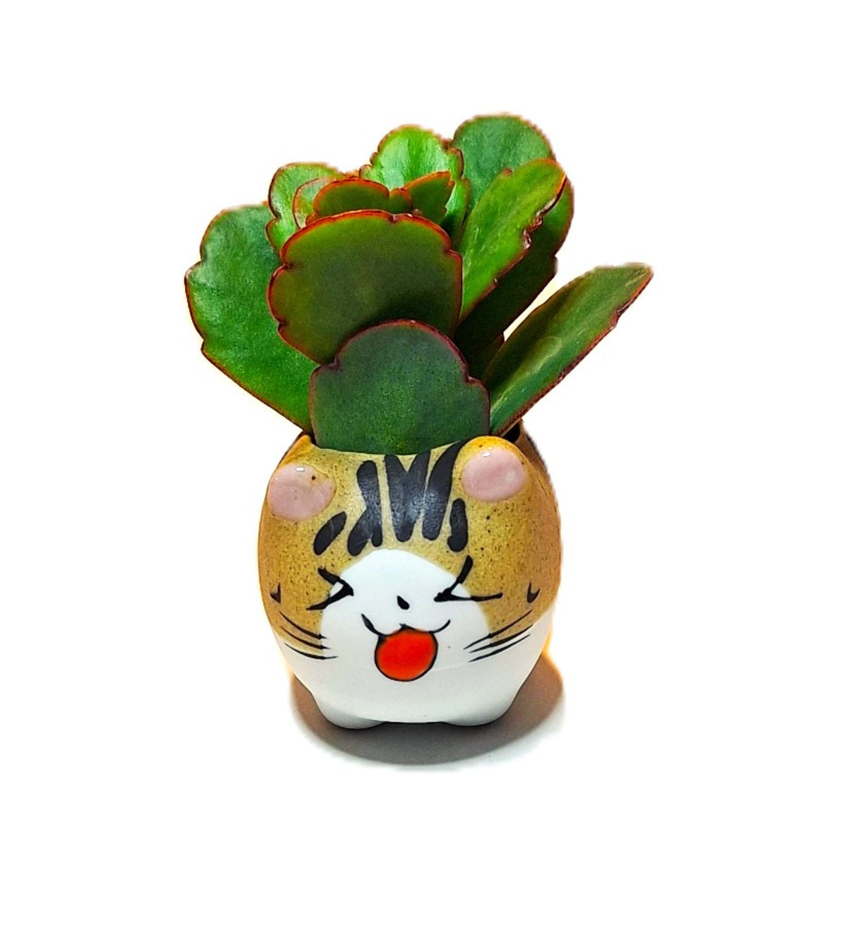 Tiger Kitty Mini Ceramic Cat Pot – Choose Your Kitty Character