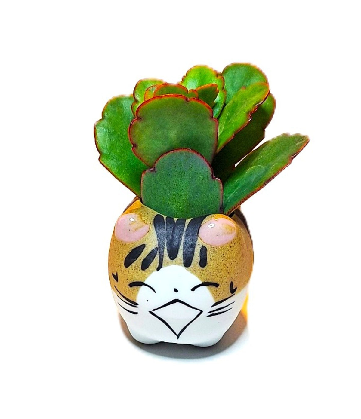 Tiger Kitty Mini Ceramic Cat Pot – Choose Your Kitty Character