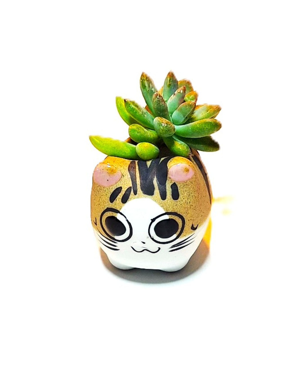 Tiger Kitty Mini Ceramic Cat Pot – Choose Your Kitty Character