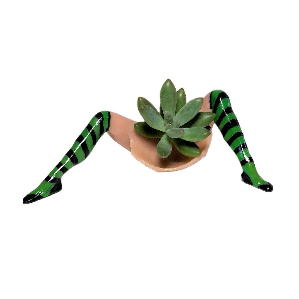 WITCH PLANTER™ – Halloween Table Décor with LIVE Succulent