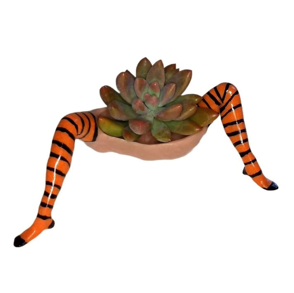 WITCH PLANTER™ – Halloween Table Décor with LIVE Succulent
