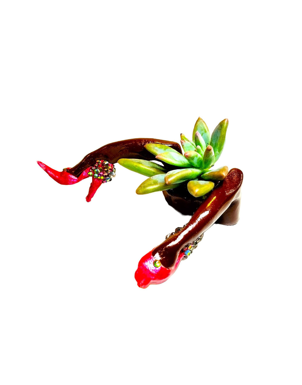 Adorable Mini Desk Planter with Plant "Hot Legs" with Plant