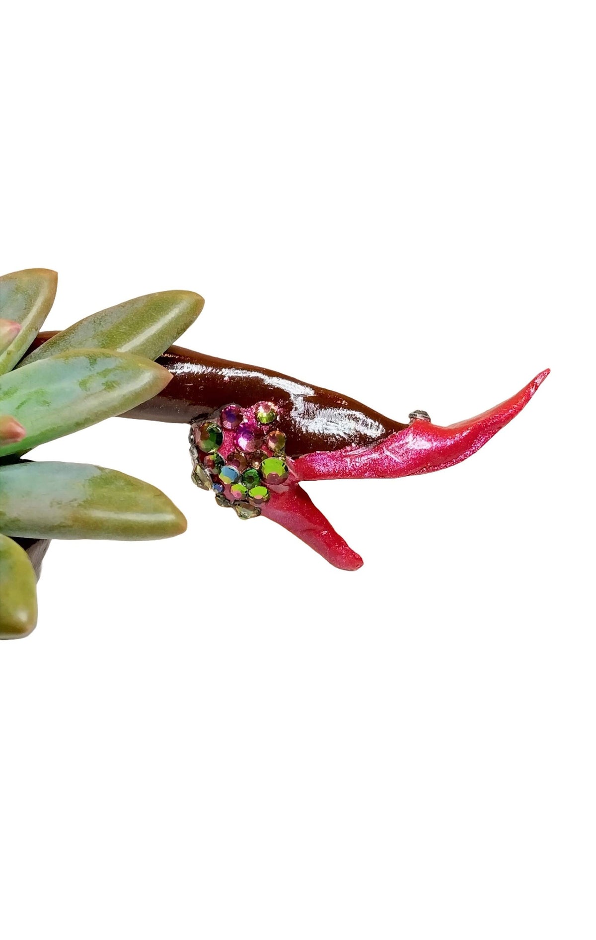 Adorable Mini Desk Planter with Plant "Hot Legs" with Plant