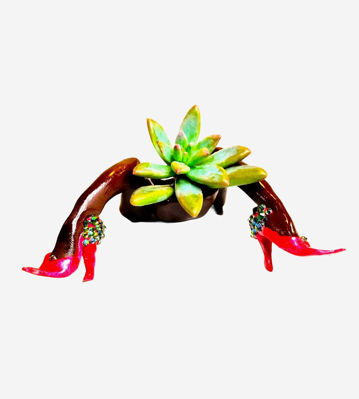 Adorable Mini Desk Planter with Plant "Hot Legs" with Plant