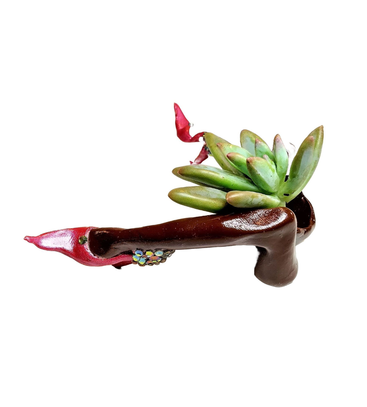 Adorable Mini Desk Planter with Plant "Hot Legs" with Plant