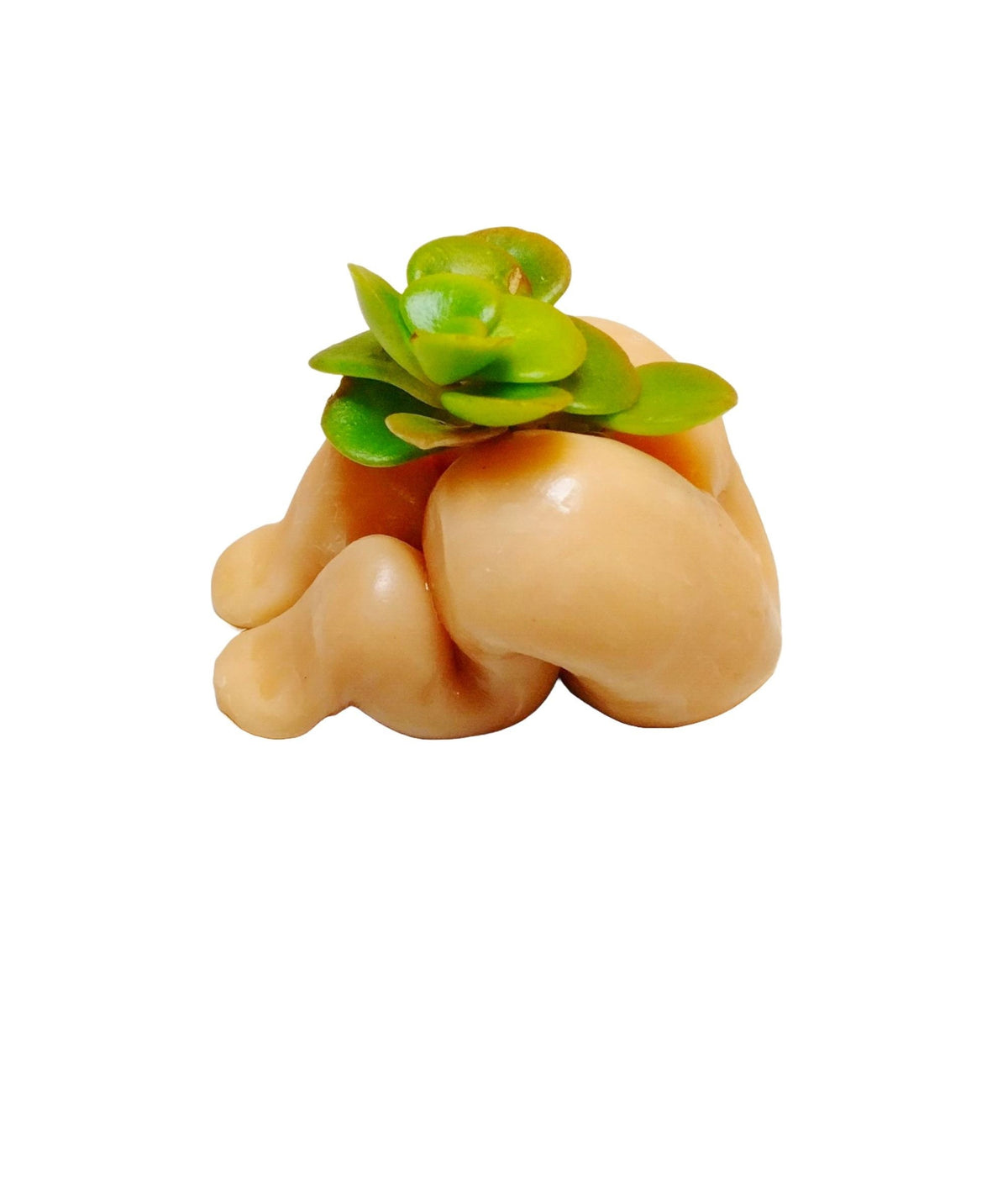 Adorable Bootie Desk Planters Set of 3 with Plants.