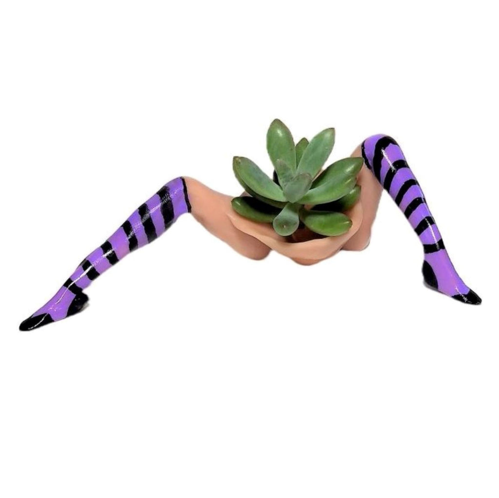 Halloween Table Decorations Indoor WITCH PLANTER™ includes succulent LIVE plant.