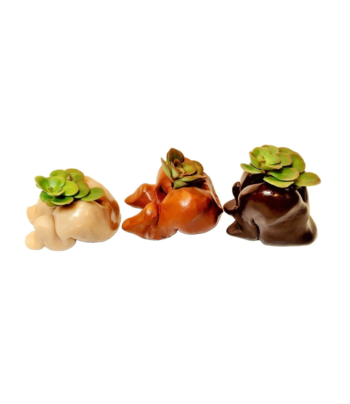 Adorable Bootie Desk Planters Set of 3 with Plants.