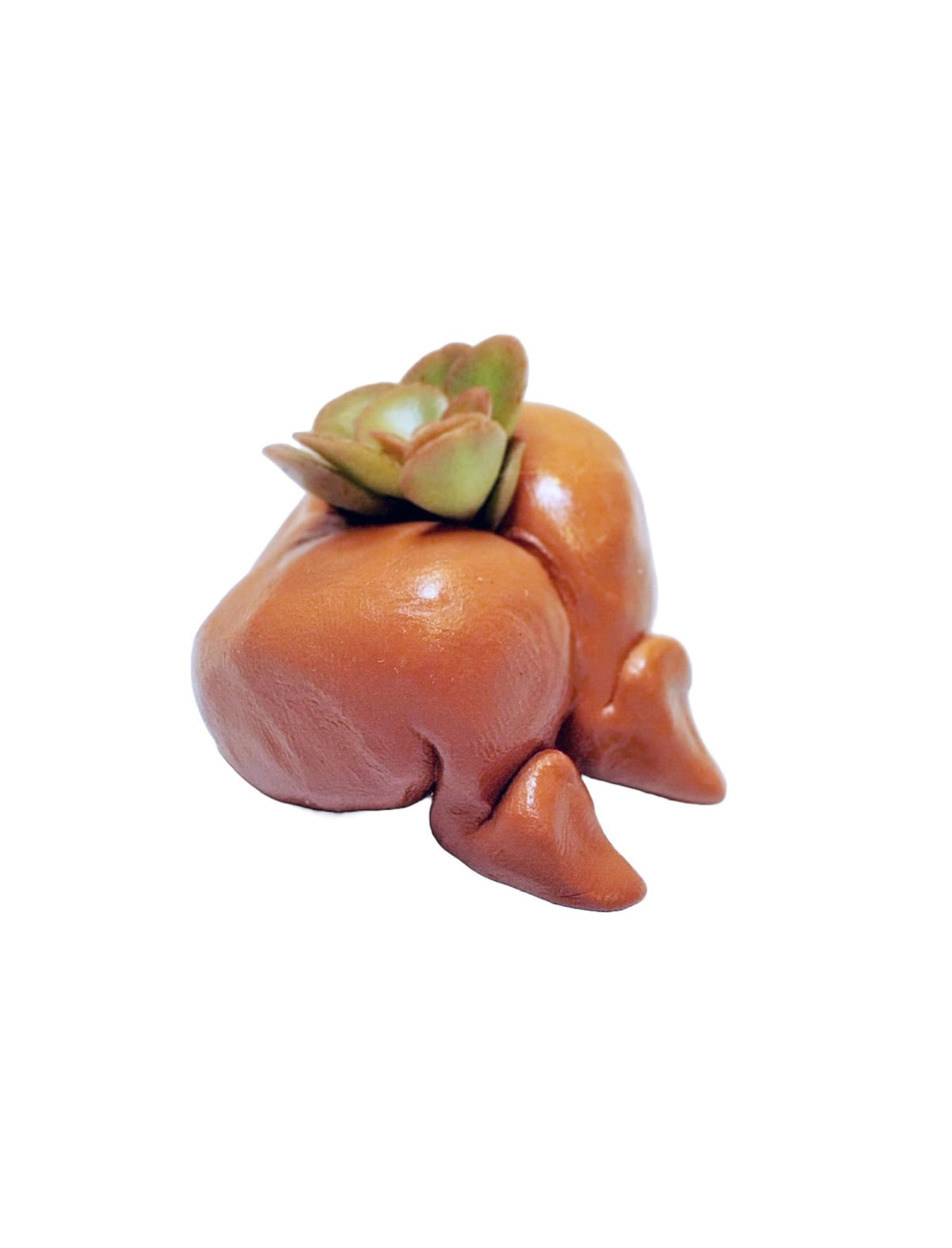 Adorable Bootie Desk Planters Set of 3 with Plants.