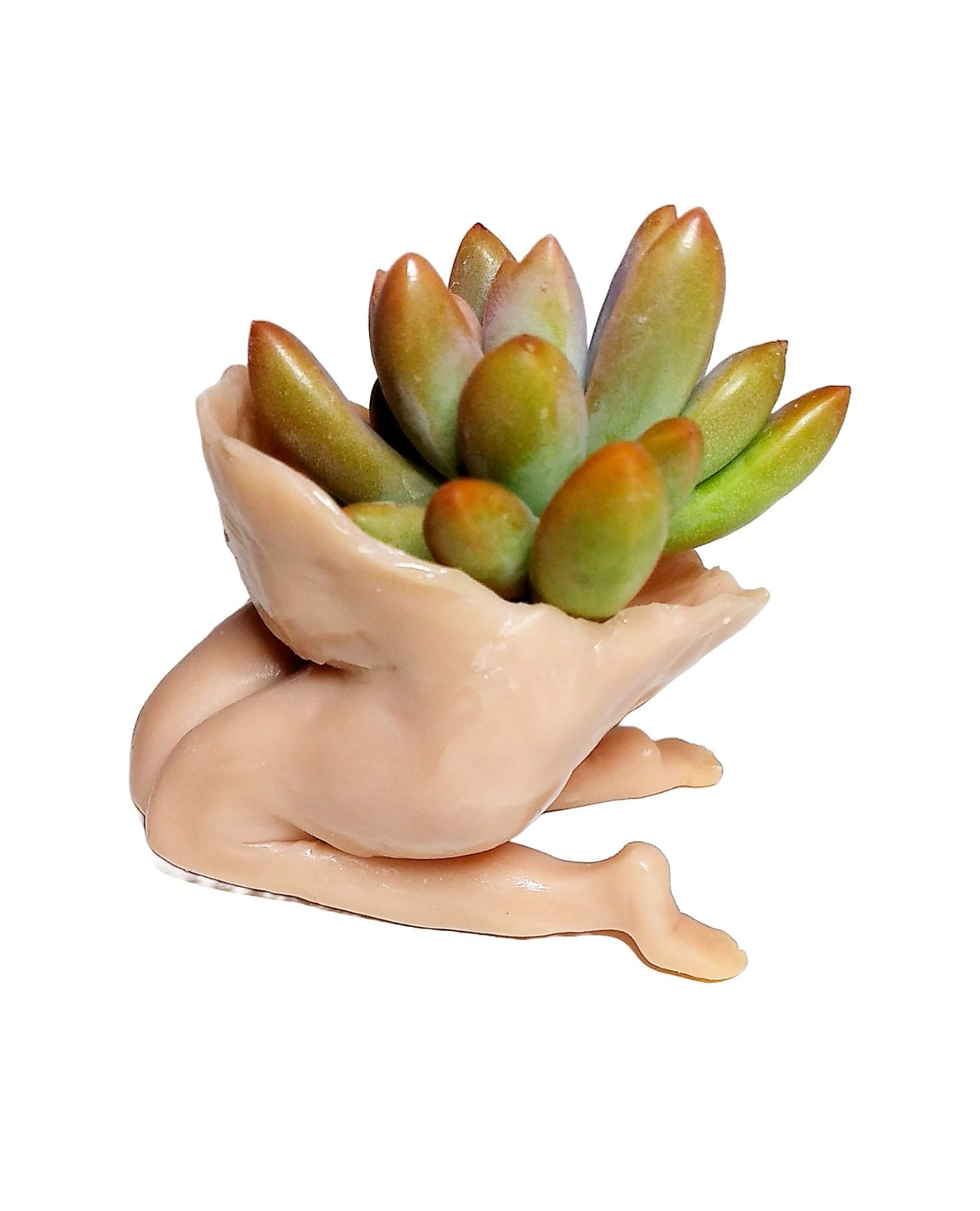 Beautiful Mother Earth Planters Include Plant Meaningful Gift.