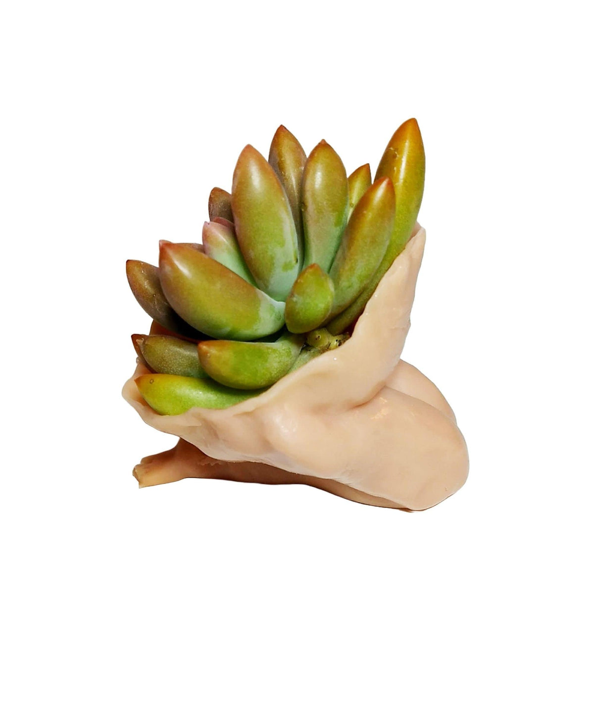 Beautiful Mother Earth Planters Include Plant Meaningful Gift.