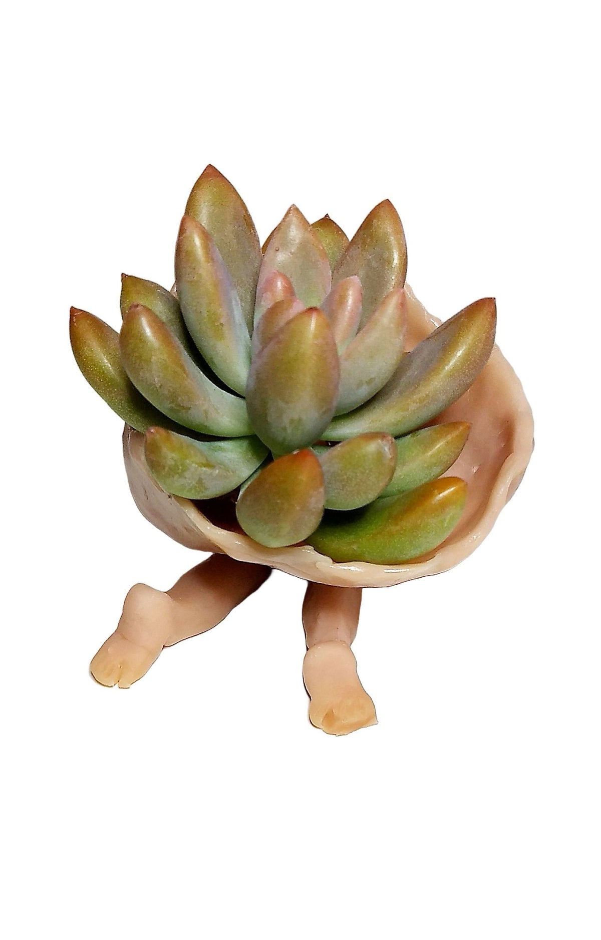 Beautiful Mother Earth Planters Include Plant Meaningful Gift.