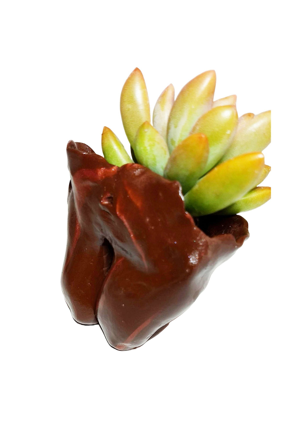 Beautiful Mother Earth Planters Include Plant Meaningful Gift.
