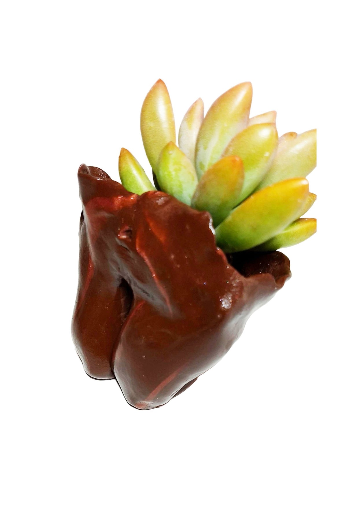 Beautiful Mother Earth Planters Include Plant Meaningful Gift.