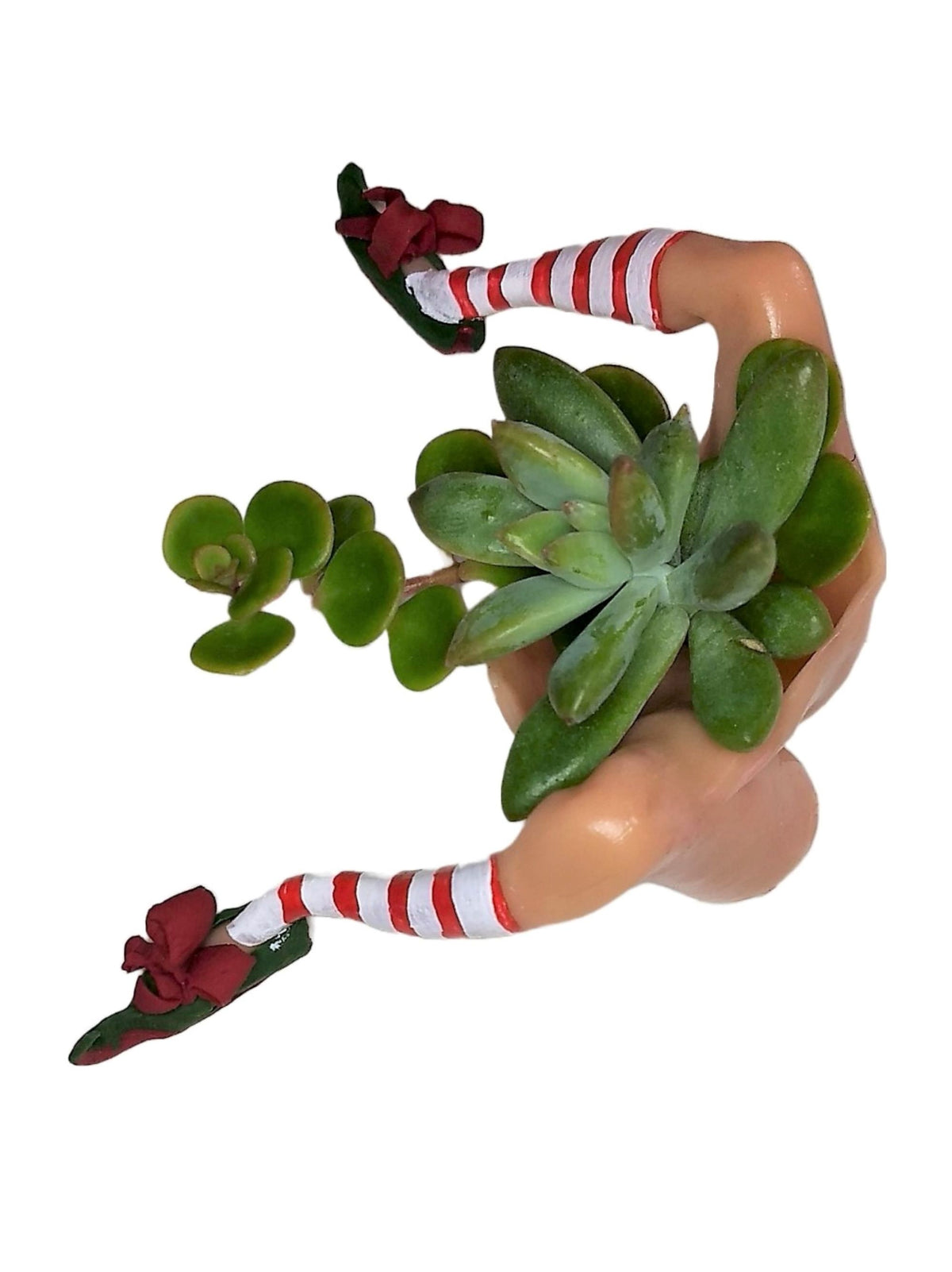 Christmas Elf Succulent Planter Affordable Small 5x5 Holiday Décor