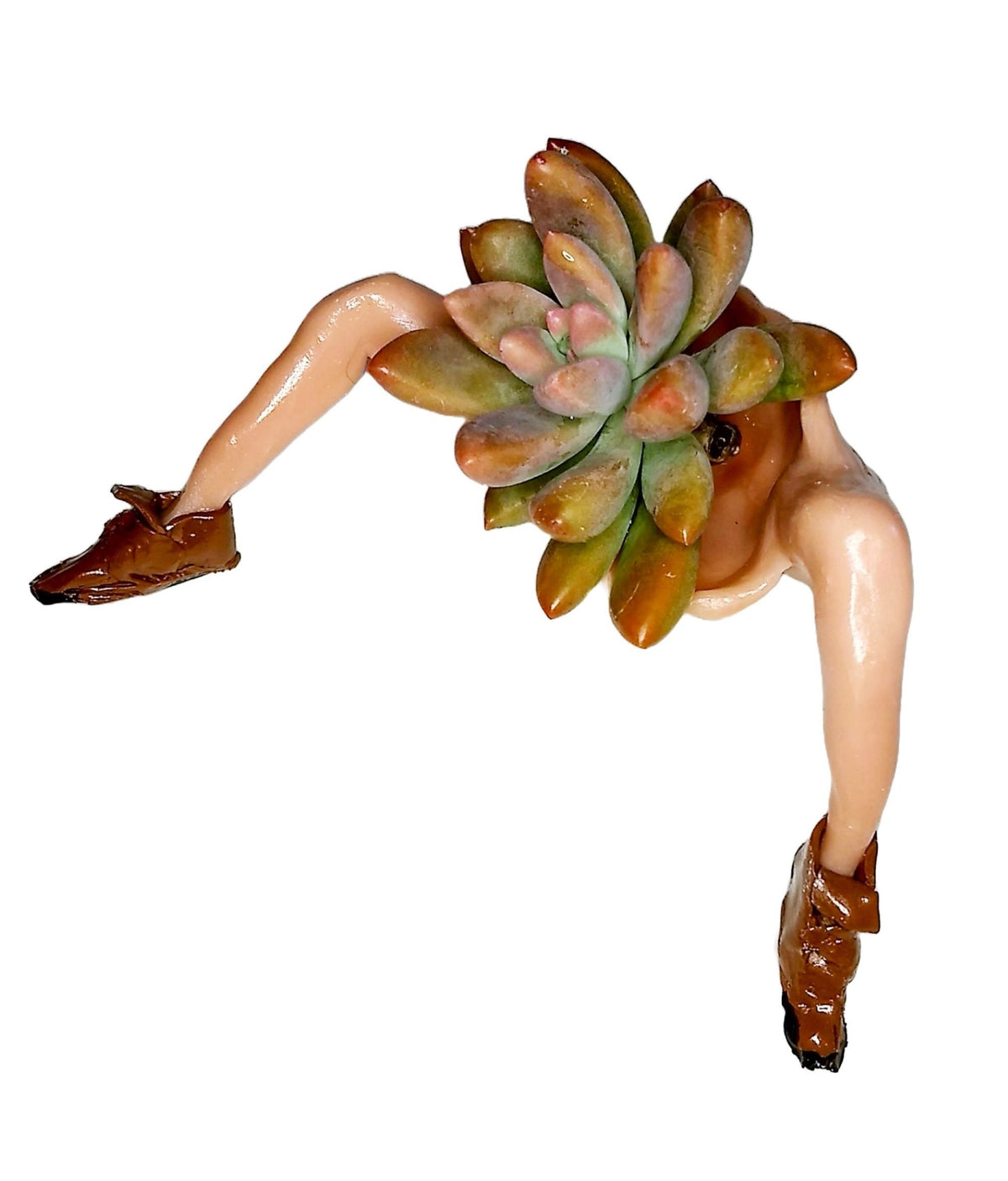 Mini Desk Planter with Loafers Polymer Figurine with Live Succulent & Gift Box