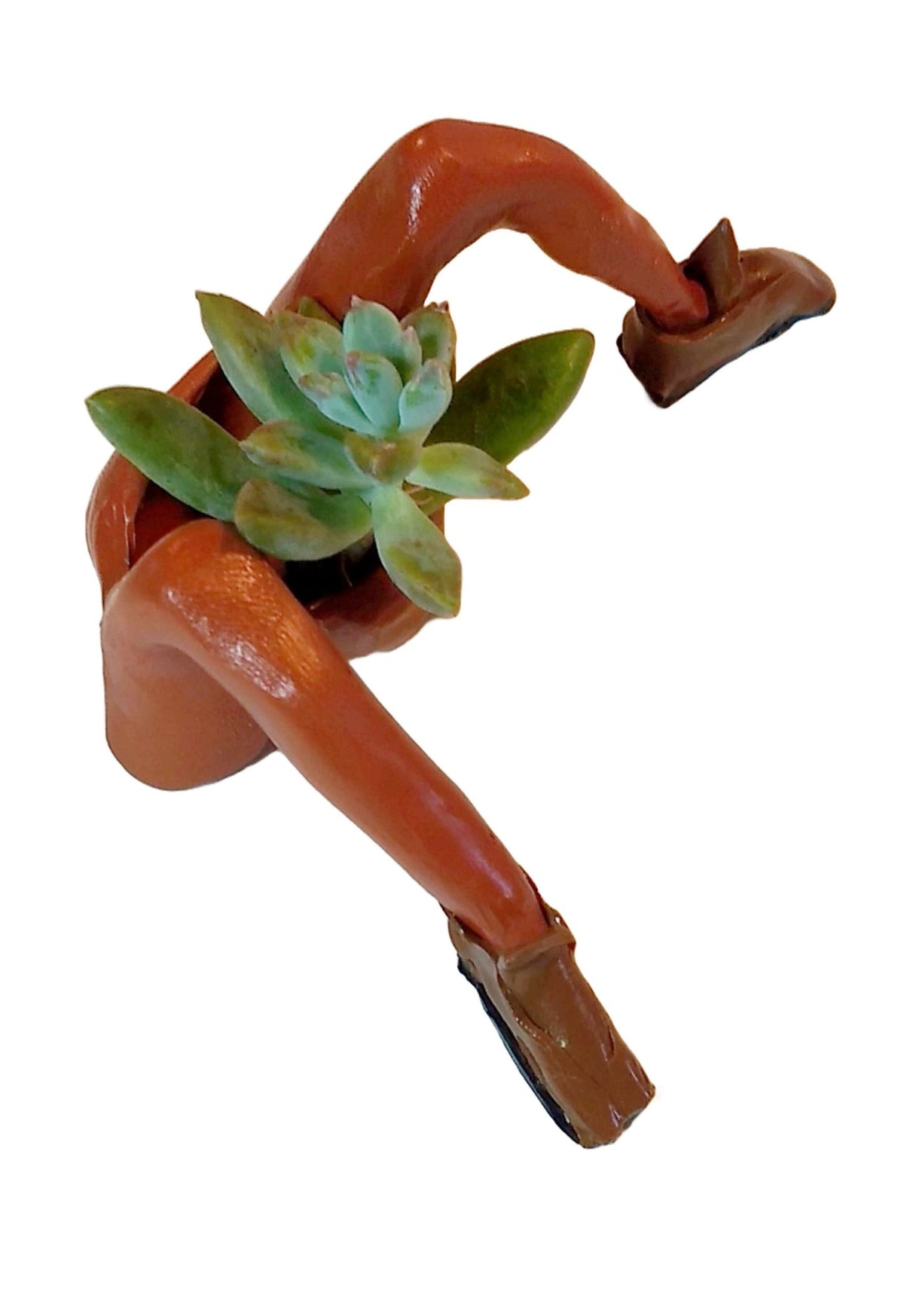 Mini Desk Planter with Loafers Polymer Figurine with Live Succulent & Gift Box
