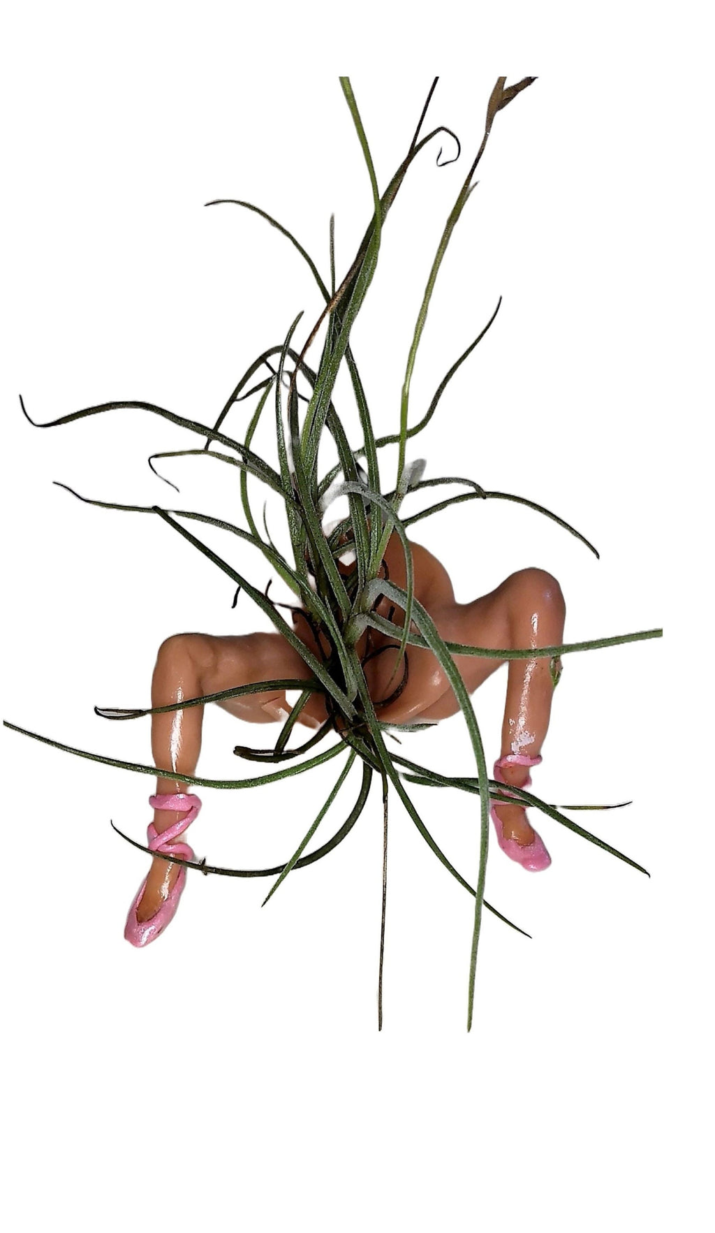 Ballerina Mini Planter with Plant Available in 3 Skin Tones.