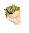Beautiful Mother Earth Planters Include Plant Meaningful Gift.