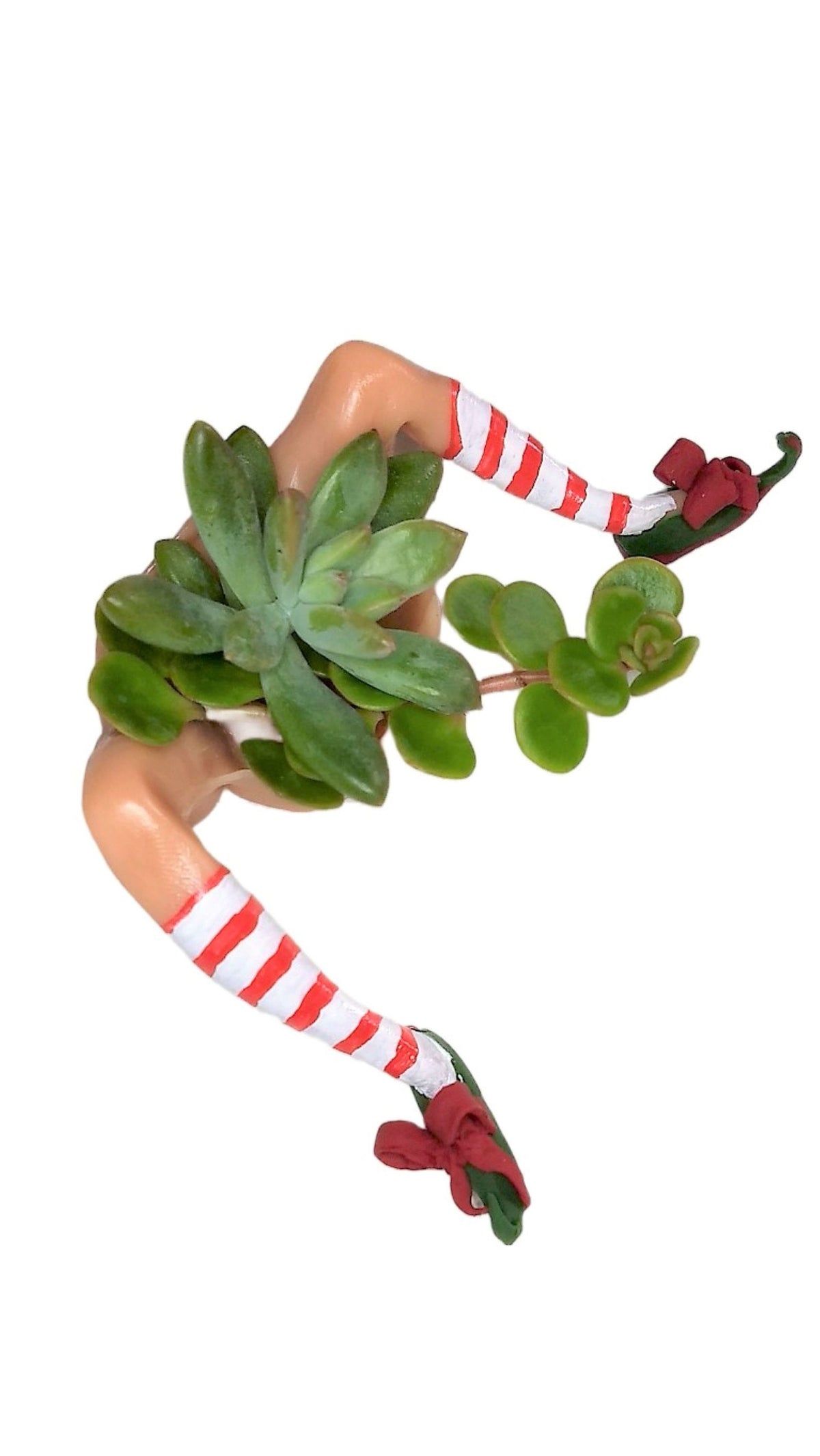 Christmas Elf Succulent Planter Affordable Small 5x5 Holiday Décor