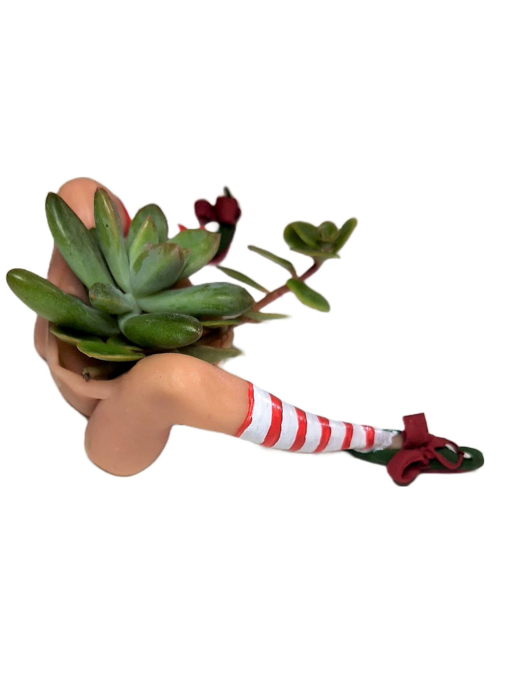 Christmas Elf Succulent Planter Affordable Small 5x5 Holiday Décor