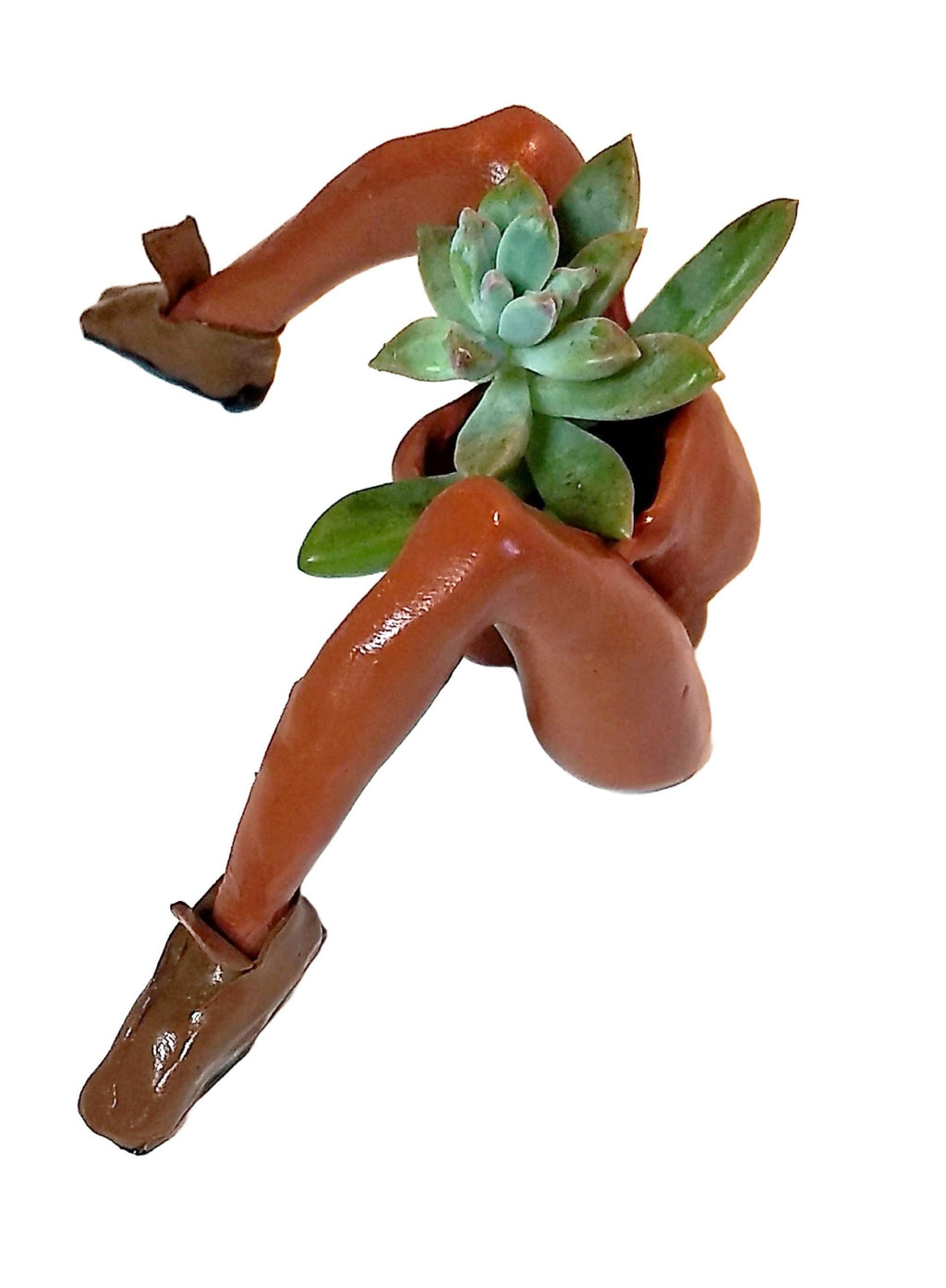 Mini Desk Planter with Loafers Polymer Figurine with Live Succulent & Gift Box