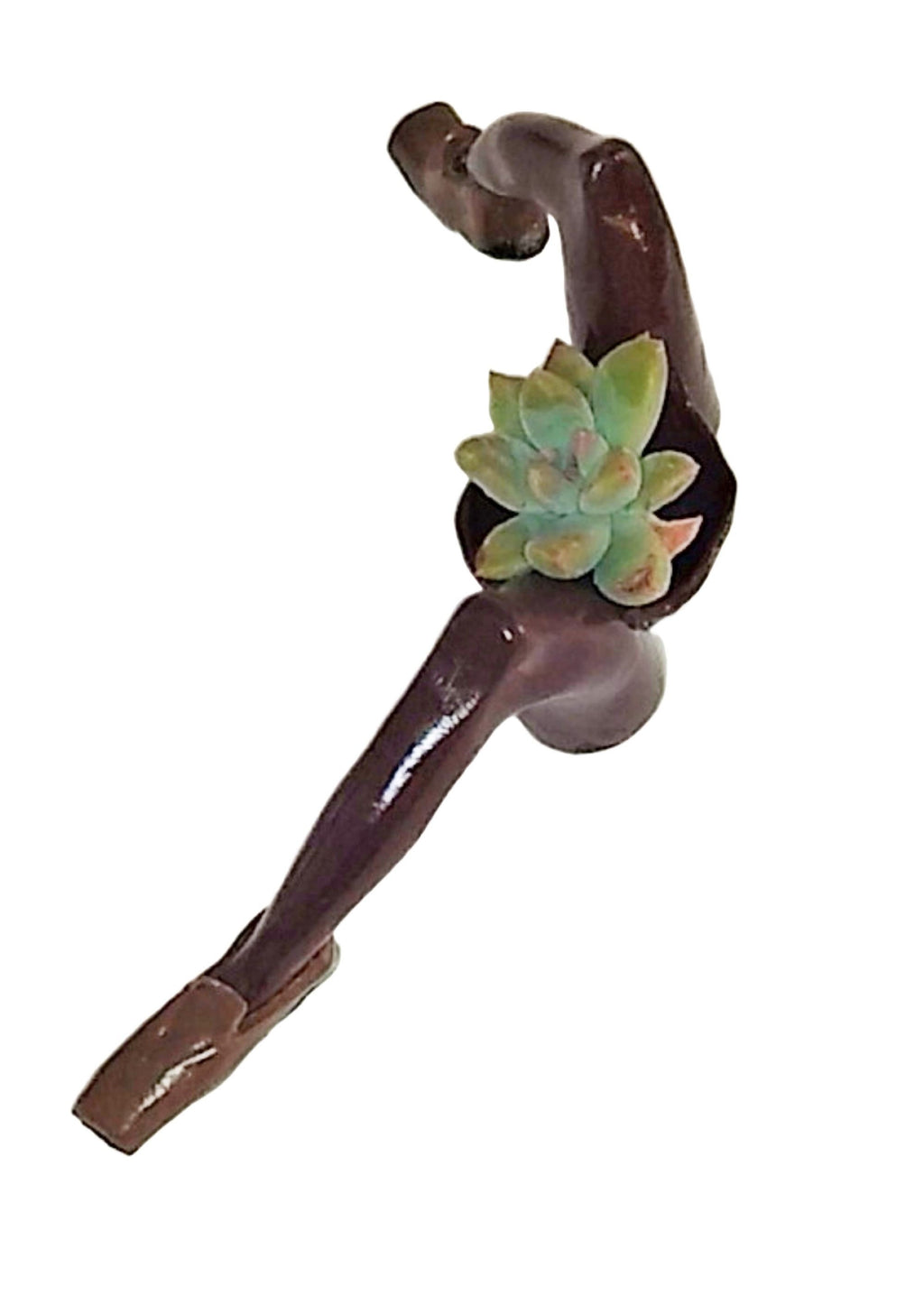 Mini Desk Planter with Loafers Polymer Figurine with Live Succulent & Gift Box