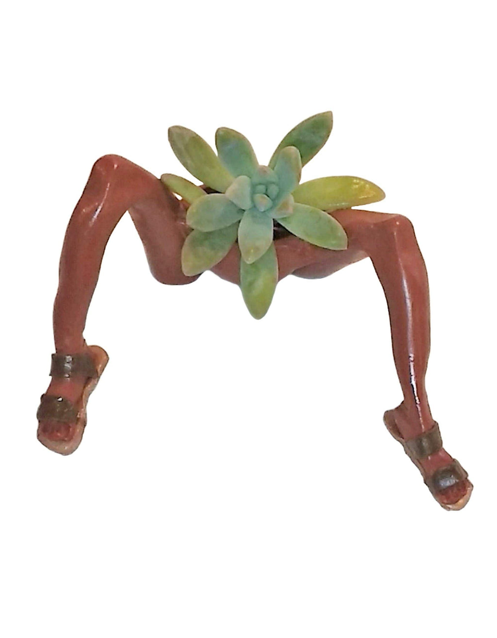 Sandal Feet Succulent Desk Planter with Plant.