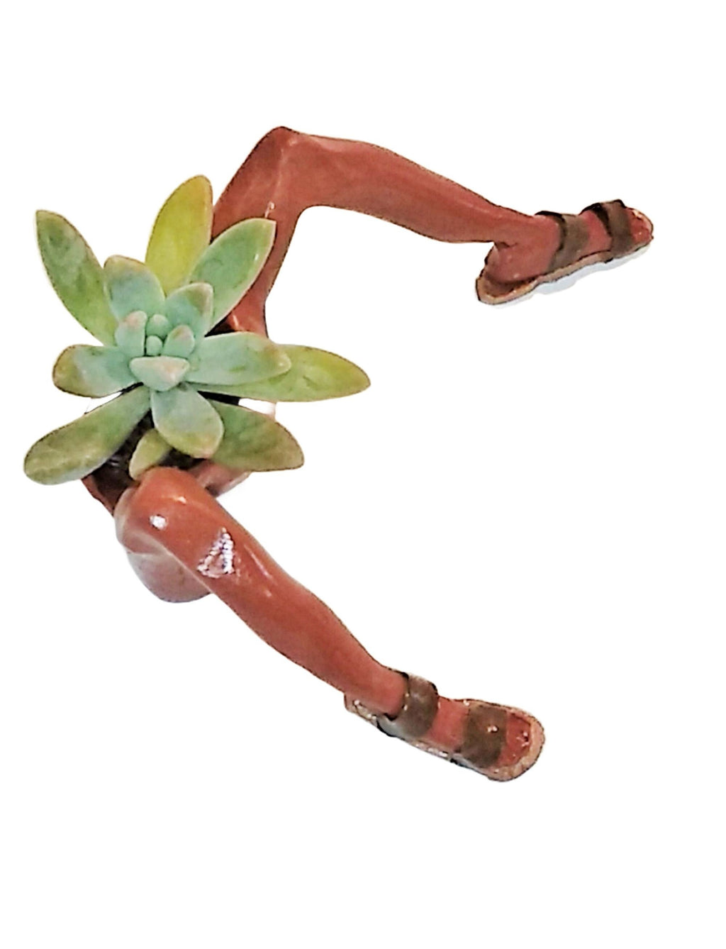 Sandal Feet Succulent Desk Planter with Plant.