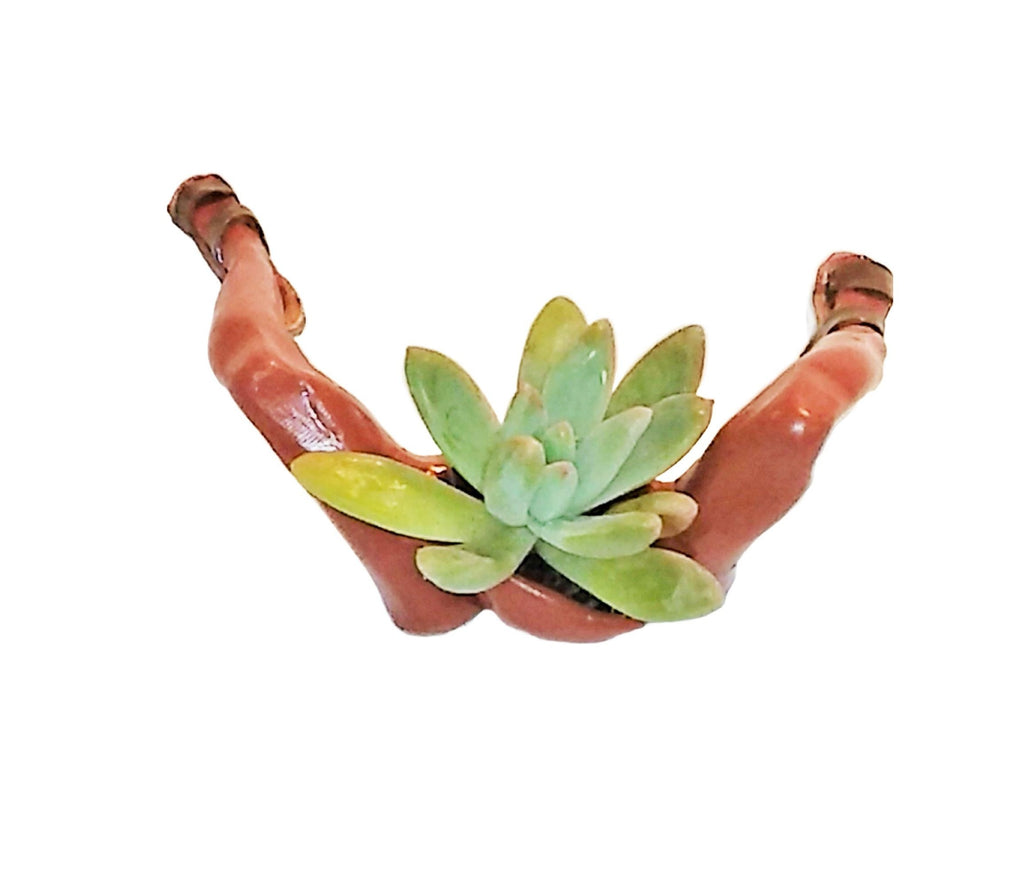 Sandal Feet Succulent Desk Planter with Plant.