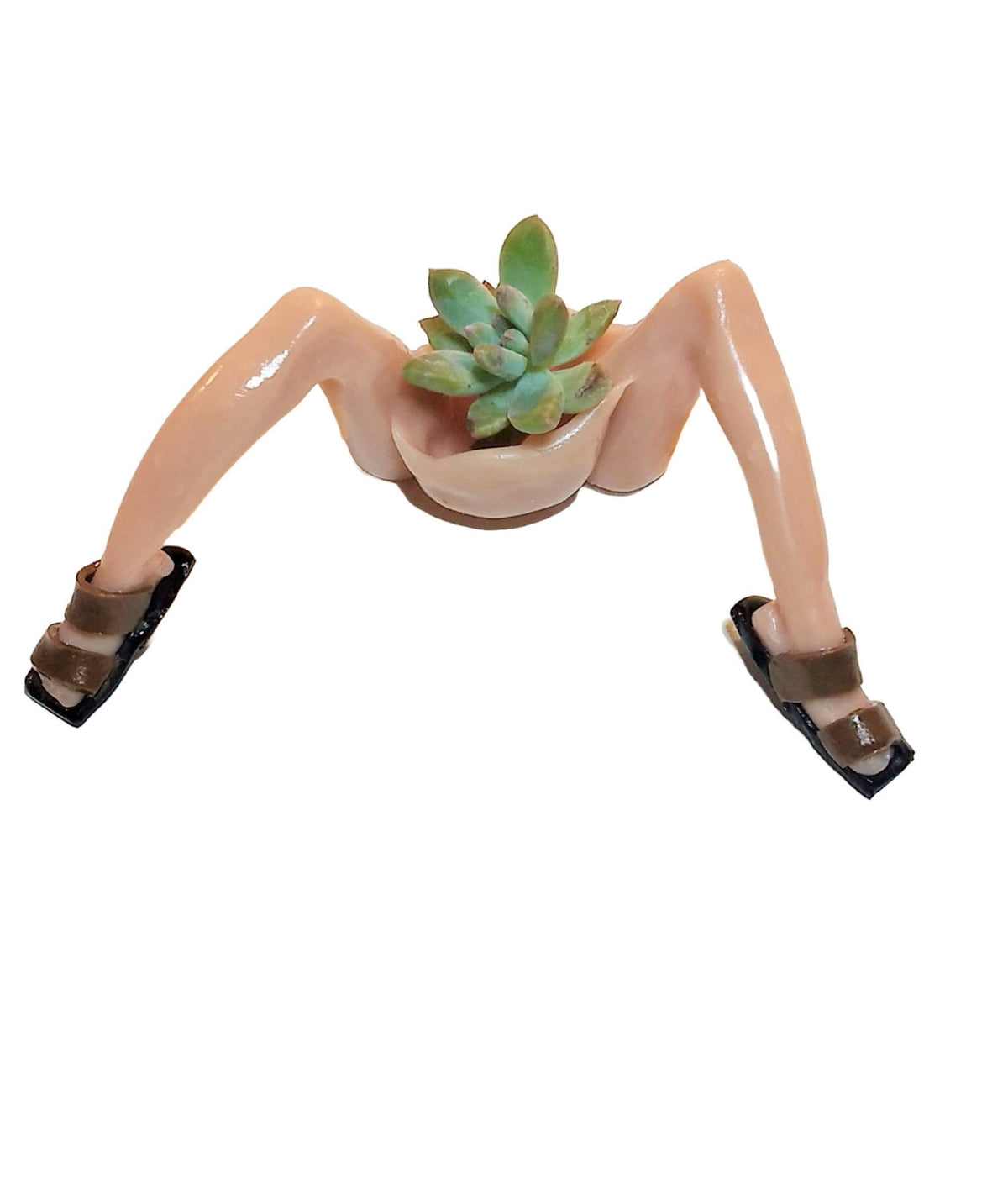Sandal Feet Succulent Desk Planter with Plant.