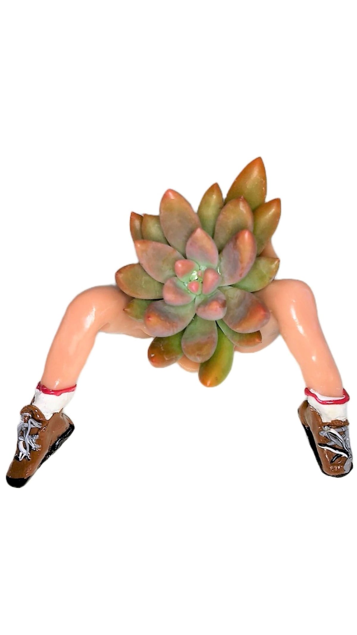 Mini Hiking Desk Planter with Live Plant Ceramic Hiker Figurine Gift Box Included