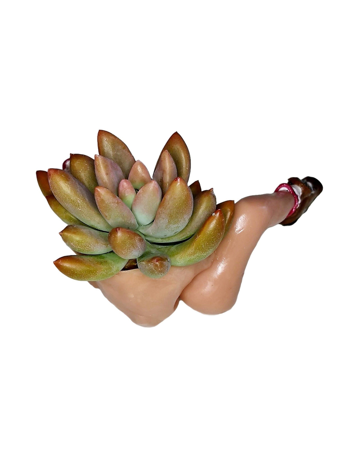 Mini Hiking Desk Planter with Live Plant Ceramic Hiker Figurine Gift Box Included